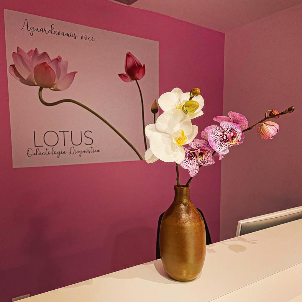 WhatsApp Image 2022-07-11 at 15.52.58.jpeg